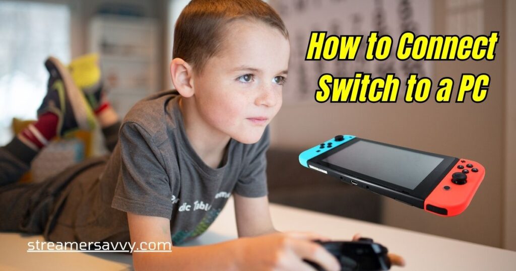 How to Connect Switch to a PC